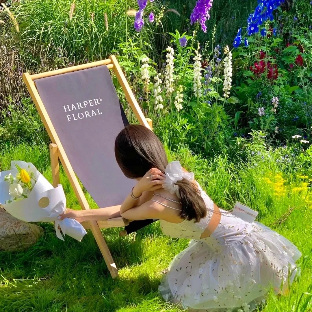 加油!同期酱